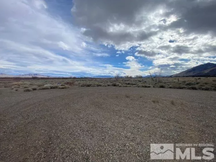 228 Artesia Road, Wellington, Nevada 89444, ,Land,For Sale,Artesia Road,240015604