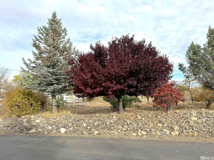 1653 Sunrise Pass Rd., Minden, Nevada 89423, 3 Bedrooms Bedrooms, ,2 BathroomsBathrooms,Residential,For Sale,Sunrise Pass Rd.,240015613