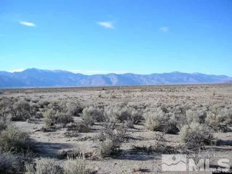 325 Ludwig, Smith, Nevada 89430, ,Land,For Sale,Ludwig,210008234