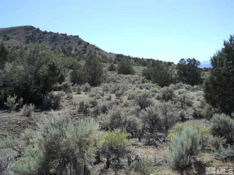 8210 Mill Creek Rd, Battle Mountain, Nevada 89820, ,Land,For Sale,Mill Creek Rd,240015651