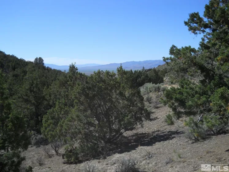 8210 Mill Creek Rd, Battle Mountain, Nevada 89820, ,Land,For Sale,Mill Creek Rd,240015651