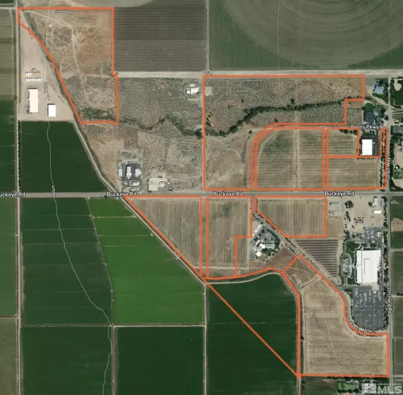 1700 Buckeye Rd, Minden, Nevada 89423, ,Land,For Sale,Buckeye Rd,240001912