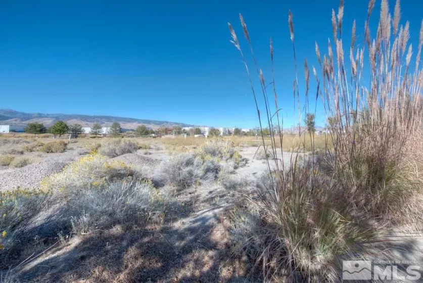 0 Double Diamond, Reno, Nevada 89521, ,Land,For Sale,Double Diamond,210005046