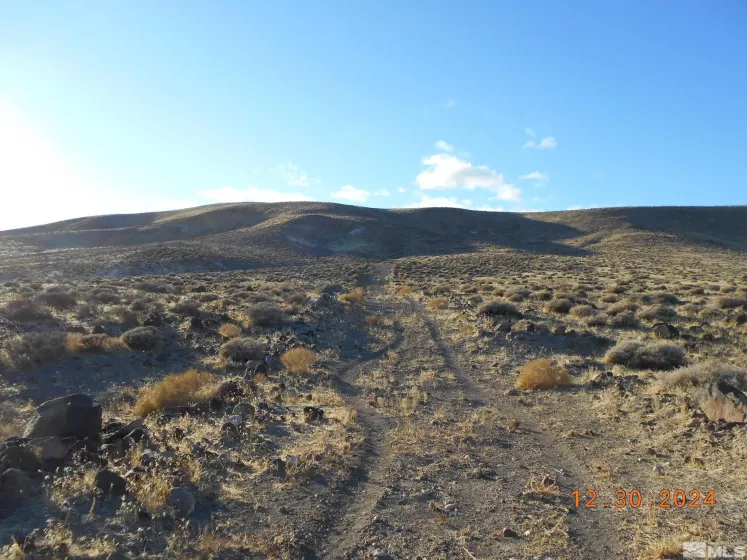 01512108 off of onyx, Silver Springs, Nevada 89429, ,Land,For Sale,off of onyx,240015450