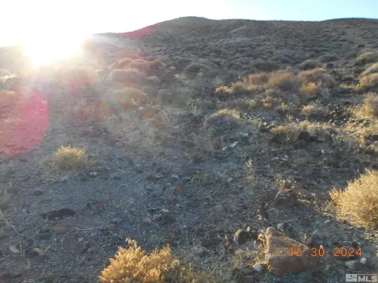 01512108 off of onyx, Silver Springs, Nevada 89429, ,Land,For Sale,off of onyx,240015450