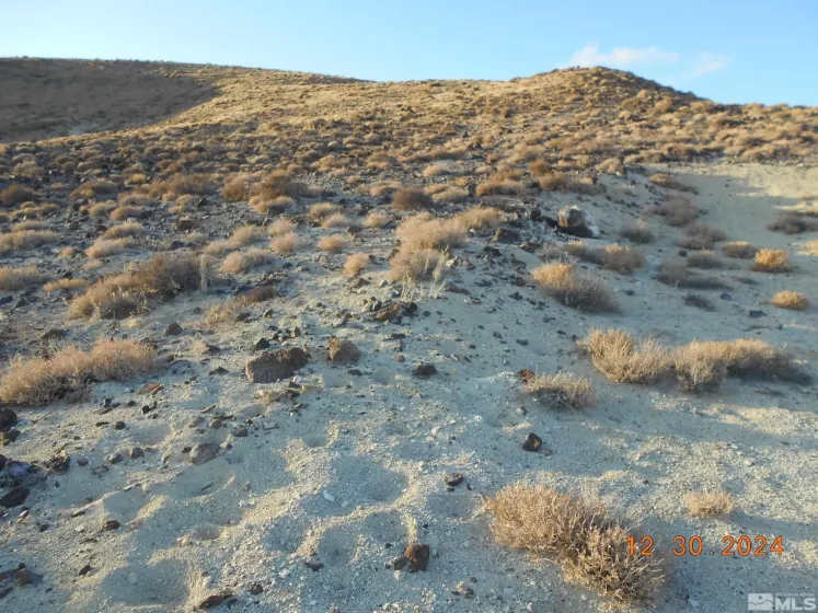 01512108 off of onyx, Silver Springs, Nevada 89429, ,Land,For Sale,off of onyx,240015450