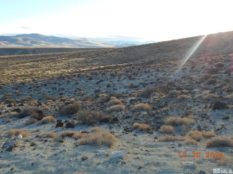 01512108 off of onyx, Silver Springs, Nevada 89429, ,Land,For Sale,off of onyx,240015450