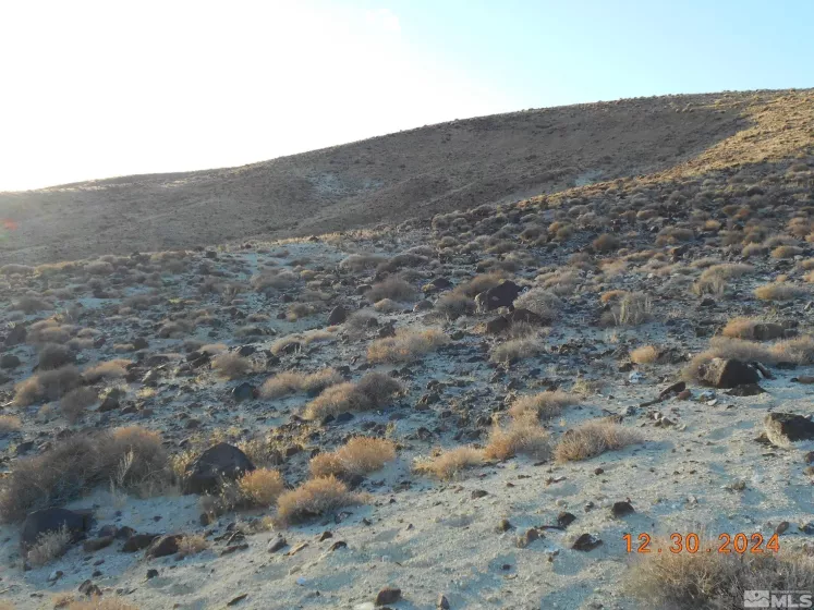 01512108 off of onyx, Silver Springs, Nevada 89429, ,Land,For Sale,off of onyx,240015450