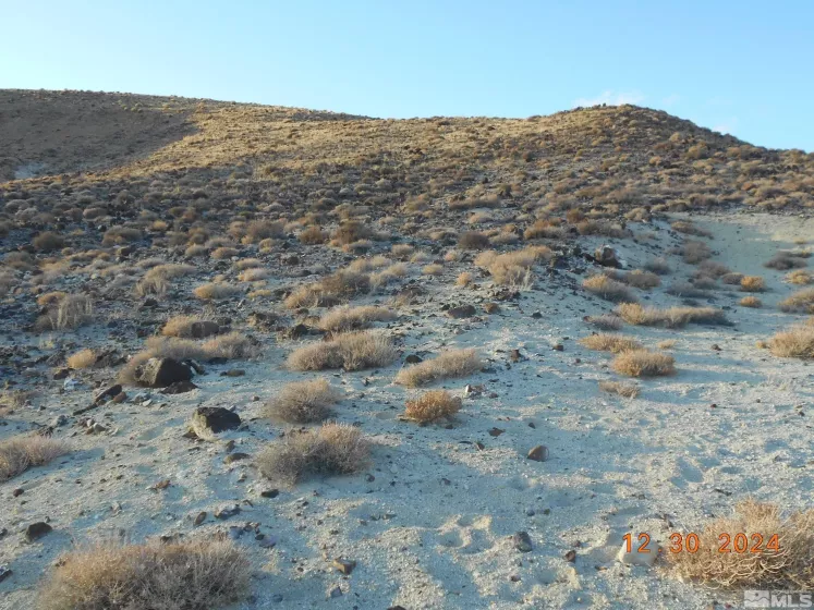 01512108 off of onyx, Silver Springs, Nevada 89429, ,Land,For Sale,off of onyx,240015450