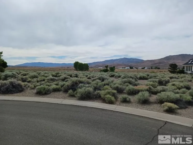 21330 Sazarac Rd, Reno, Nevada 89521, ,Land,For Sale,Sazarac Rd,250000007