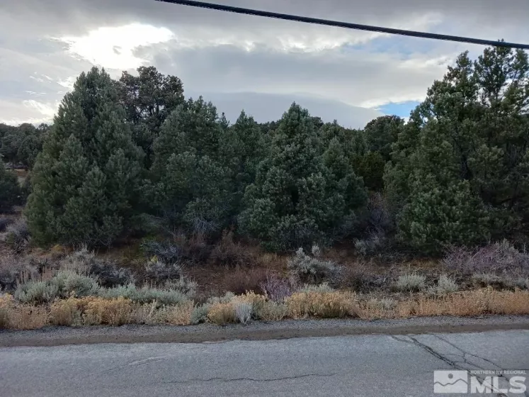 21330 Sazarac Rd, Reno, Nevada 89521, ,Land,For Sale,Sazarac Rd,250000007