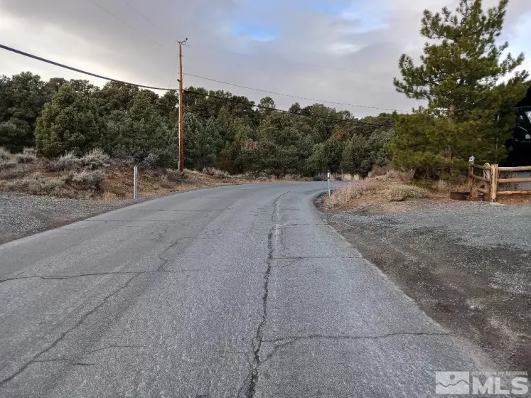 21330 Sazarac Rd, Reno, Nevada 89521, ,Land,For Sale,Sazarac Rd,250000007