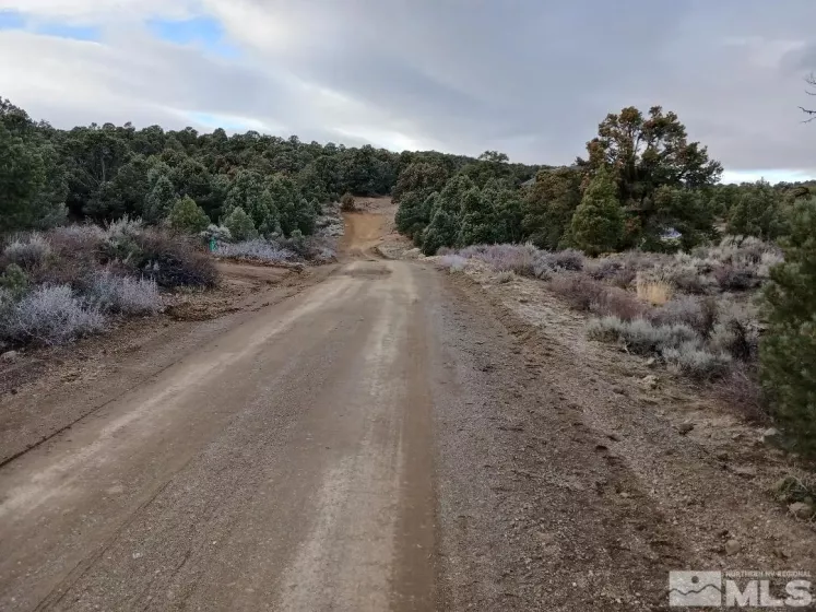 21330 Sazarac Rd, Reno, Nevada 89521, ,Land,For Sale,Sazarac Rd,250000007