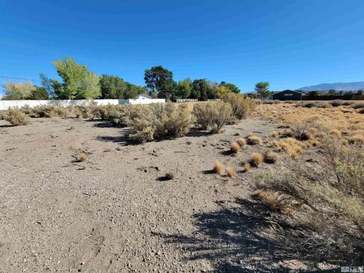 1765 Crockett Ln, Gardnerville, Nevada 89410, ,Land,For Sale,Crockett Ln,250000021