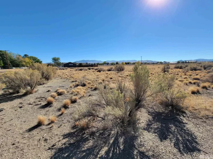 1765 Crockett Ln, Gardnerville, Nevada 89410, ,Land,For Sale,Crockett Ln,250000021