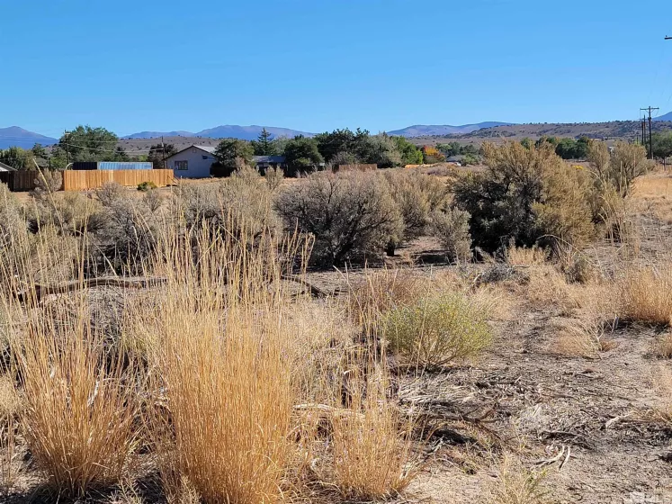 1765 Crockett Ln, Gardnerville, Nevada 89410, ,Land,For Sale,Crockett Ln,250000021