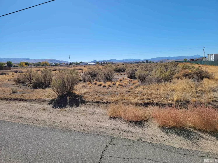 1765 Crockett Ln, Gardnerville, Nevada 89410, ,Land,For Sale,Crockett Ln,250000021