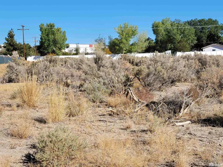 1765 Crockett Ln, Gardnerville, Nevada 89410, ,Land,For Sale,Crockett Ln,250000021