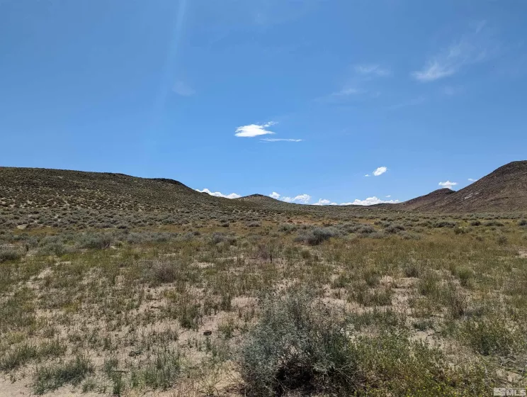 APN 00614219, Fallon, Nevada 89406, ,Land,For Sale,00614219,230014120