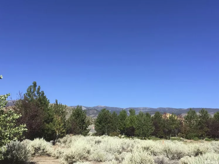 3600 Inspiration Point, Reno, Nevada 89511, ,Land,For Sale,Inspiration Point,250000026