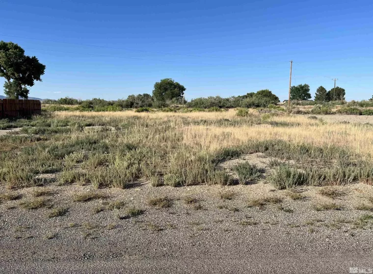 20 Smoke Tree Lane, Yerington, Nevada 89447, ,Land,For Sale,Smoke Tree Lane,250000044