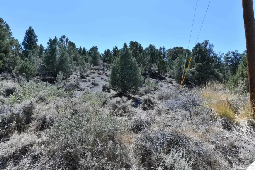 2332 Cartwright Rd., Reno, Nevada 89521, ,Land,For Sale,Cartwright Rd.,240012803