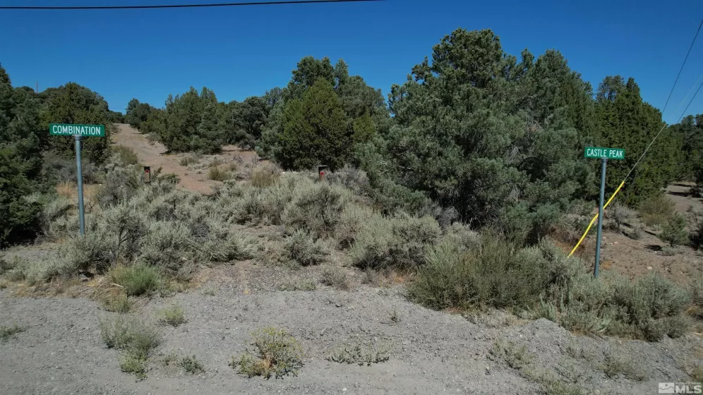 2332 Cartwright Rd., Reno, Nevada 89521, ,Land,For Sale,Cartwright Rd.,240012803