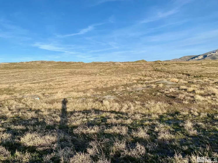 000834014 Near Frontage Rd, Imlay, Nevada 89418, ,Land,For Sale,Near Frontage Rd,250000050