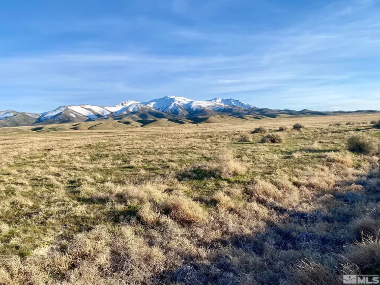 000834014 Near Frontage Rd, Imlay, Nevada 89418, ,Land,For Sale,Near Frontage Rd,250000050