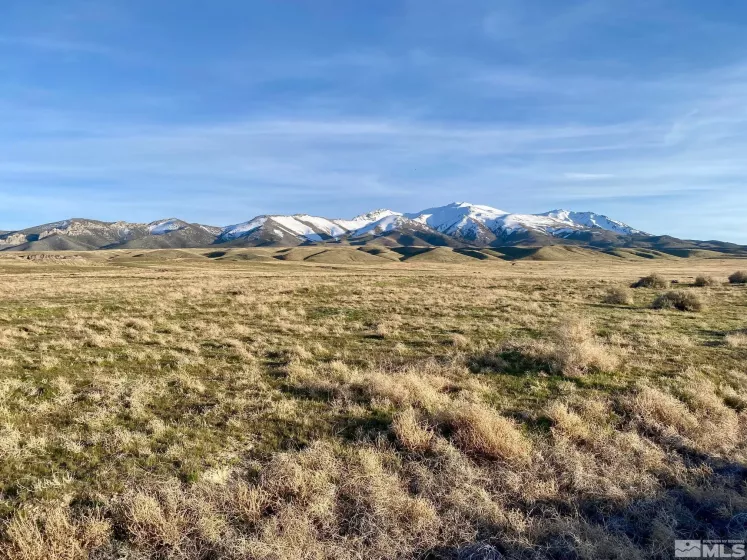 000834014 Near Frontage Rd, Imlay, Nevada 89418, ,Land,For Sale,Near Frontage Rd,250000050