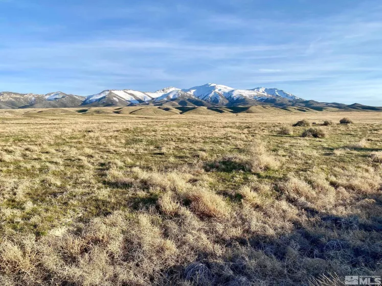 000834014 Near Frontage Rd, Imlay, Nevada 89418, ,Land,For Sale,Near Frontage Rd,250000050