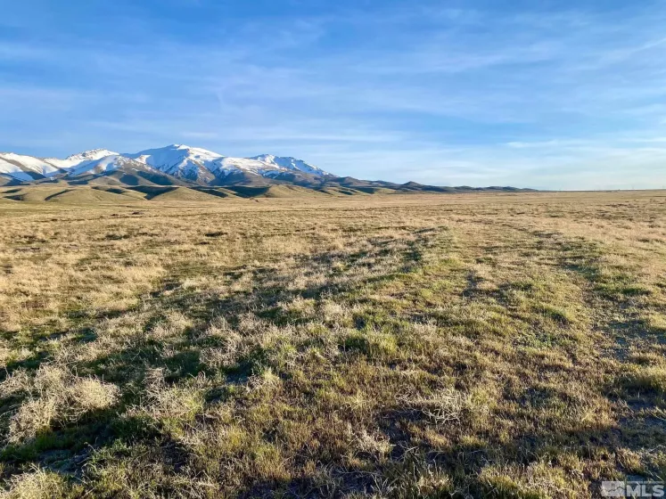 000834014 Near Frontage Rd, Imlay, Nevada 89418, ,Land,For Sale,Near Frontage Rd,250000050