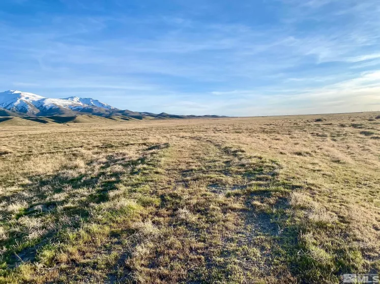 000834014 Near Frontage Rd, Imlay, Nevada 89418, ,Land,For Sale,Near Frontage Rd,250000050