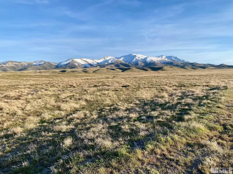 000834014 Near Frontage Rd, Imlay, Nevada 89418, ,Land,For Sale,Near Frontage Rd,250000050