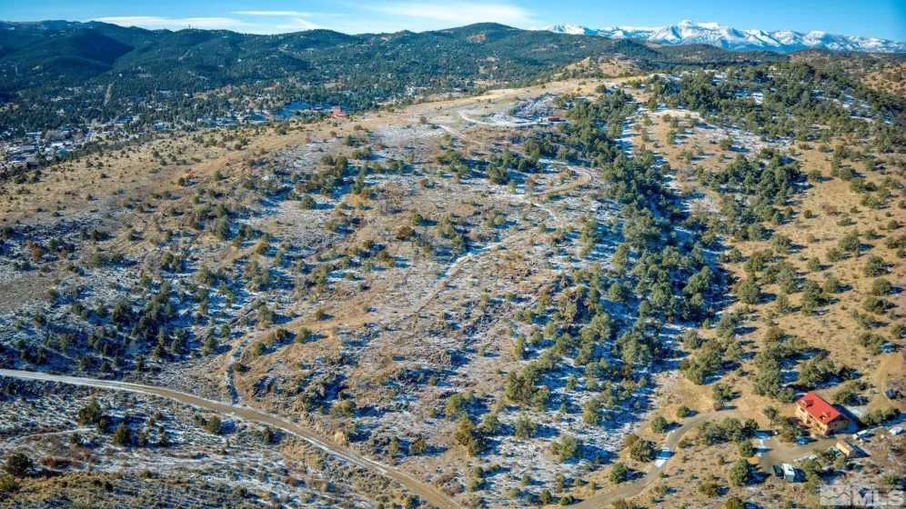 2480 Lousetown Rd, Reno, Nevada 89521, ,Land,For Sale,Lousetown Rd,250000059