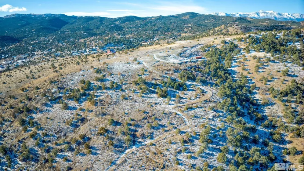 2480 Lousetown Rd, Reno, Nevada 89521, ,Land,For Sale,Lousetown Rd,250000059