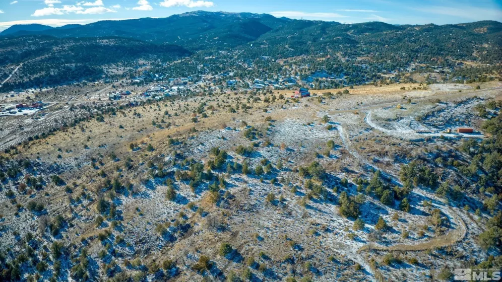 2480 Lousetown Rd, Reno, Nevada 89521, ,Land,For Sale,Lousetown Rd,250000059