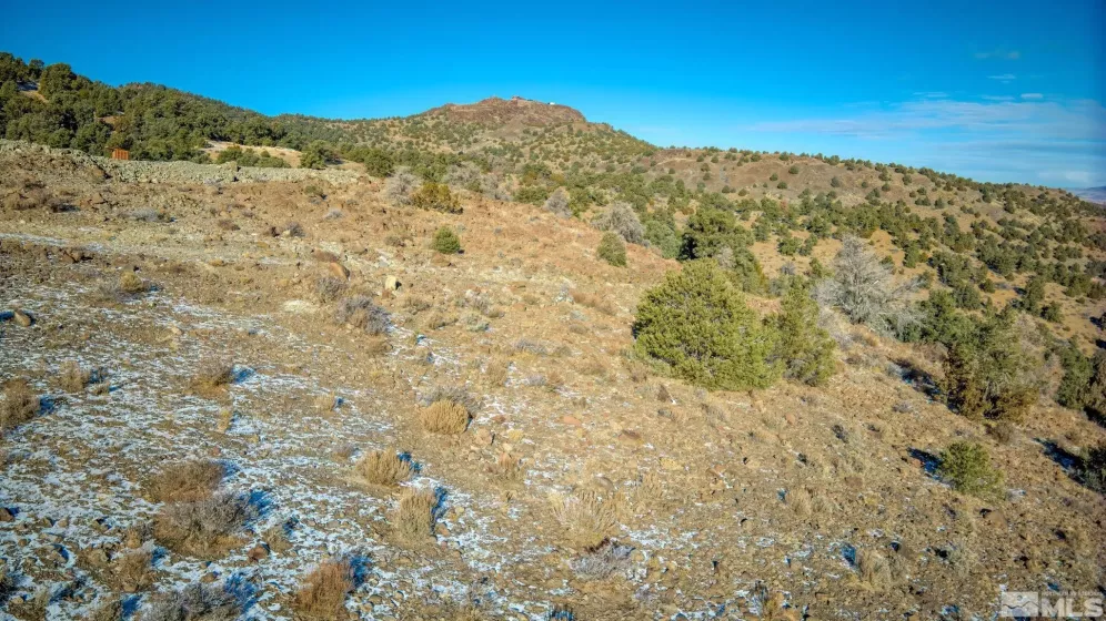 2480 Lousetown Rd, Reno, Nevada 89521, ,Land,For Sale,Lousetown Rd,250000059