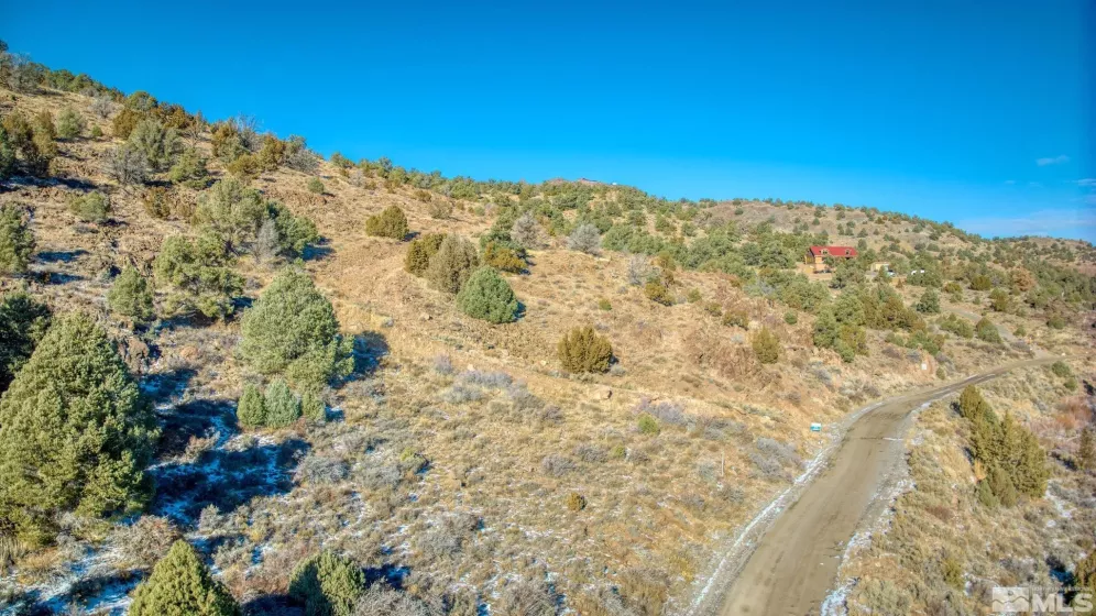 2480 Lousetown Rd, Reno, Nevada 89521, ,Land,For Sale,Lousetown Rd,250000059