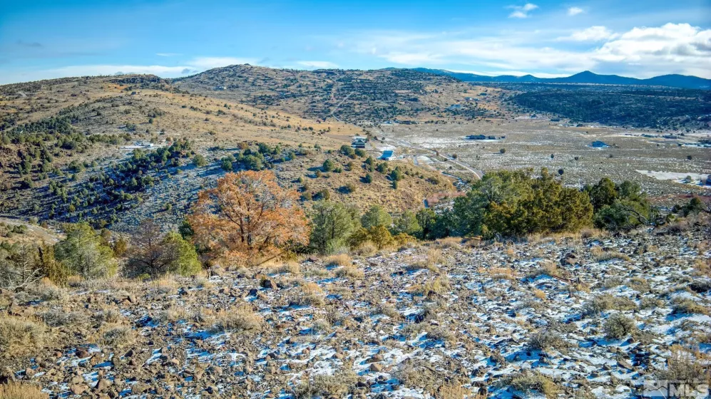 2480 Lousetown Rd, Reno, Nevada 89521, ,Land,For Sale,Lousetown Rd,250000059