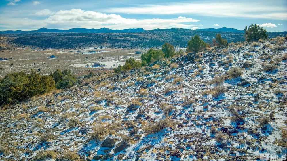 2480 Lousetown Rd, Reno, Nevada 89521, ,Land,For Sale,Lousetown Rd,250000059