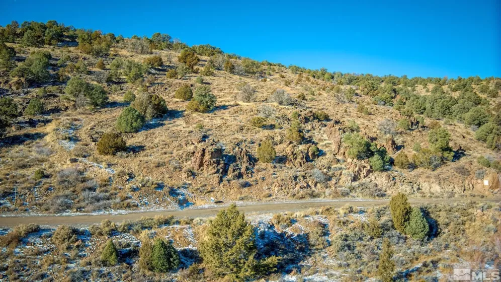 2480 Lousetown Rd, Reno, Nevada 89521, ,Land,For Sale,Lousetown Rd,250000059