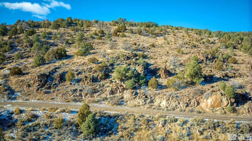 2480 Lousetown Rd, Reno, Nevada 89521, ,Land,For Sale,Lousetown Rd,250000059