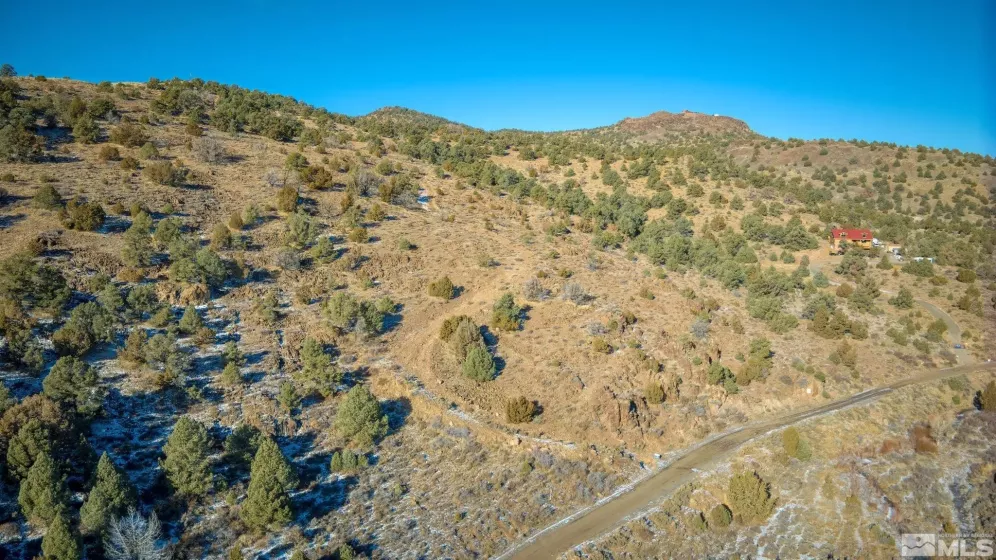 2480 Lousetown Rd, Reno, Nevada 89521, ,Land,For Sale,Lousetown Rd,250000059