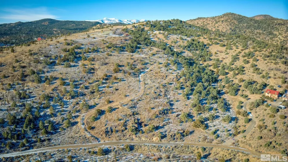 2480 Lousetown Rd, Reno, Nevada 89521, ,Land,For Sale,Lousetown Rd,250000059