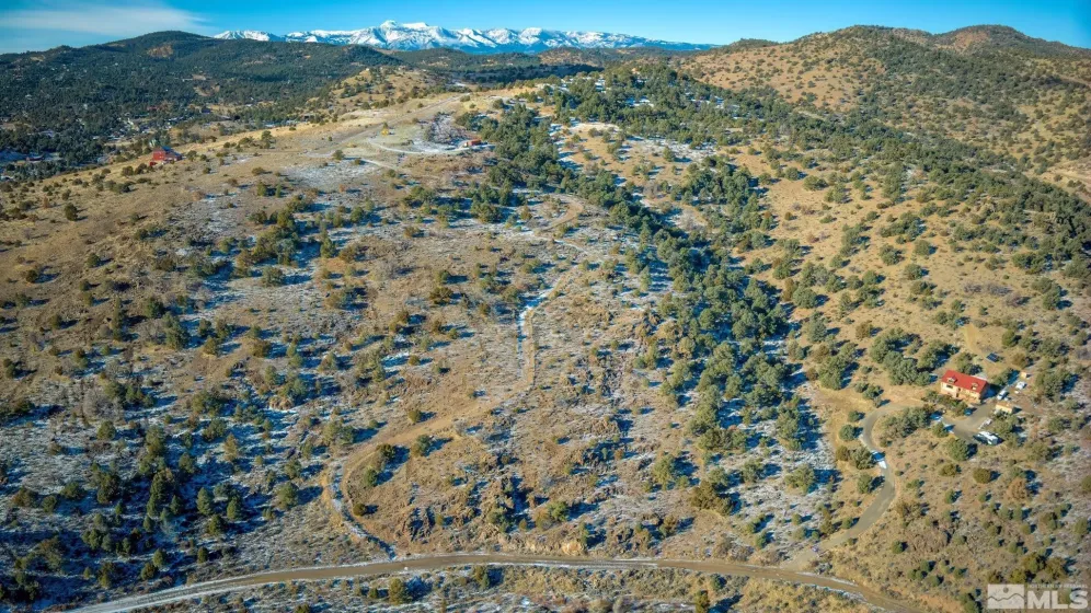 2480 Lousetown Rd, Reno, Nevada 89521, ,Land,For Sale,Lousetown Rd,250000059