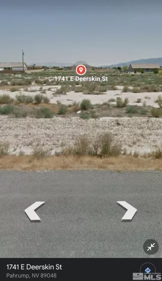 1741 Deerskin St, Pahrump, Nevada 89048, ,Land,For Sale,Deerskin St,240003230