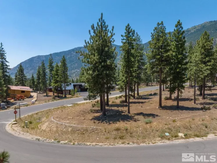 181 Tor Court, Carson City, Nevada 89705, ,Land,For Sale,Tor Court,240009917