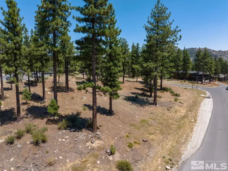 181 Tor Court, Carson City, Nevada 89705, ,Land,For Sale,Tor Court,240009917