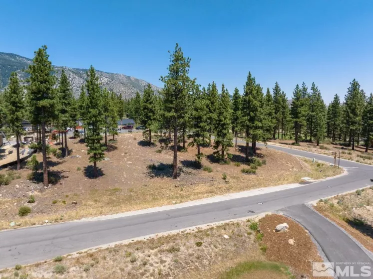 181 Tor Court, Carson City, Nevada 89705, ,Land,For Sale,Tor Court,240009917